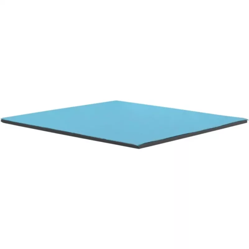 Thermal Grizzly Minus Pad Pro terminė pagalvėlė 100 x 100 x 1.0 mm