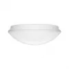 Steinel RS PRO LED P1 WW V3 vidinis jutiklinis LED šviestuvas — 9,5 W, 960 lm, 3000 K, 360°, IP54