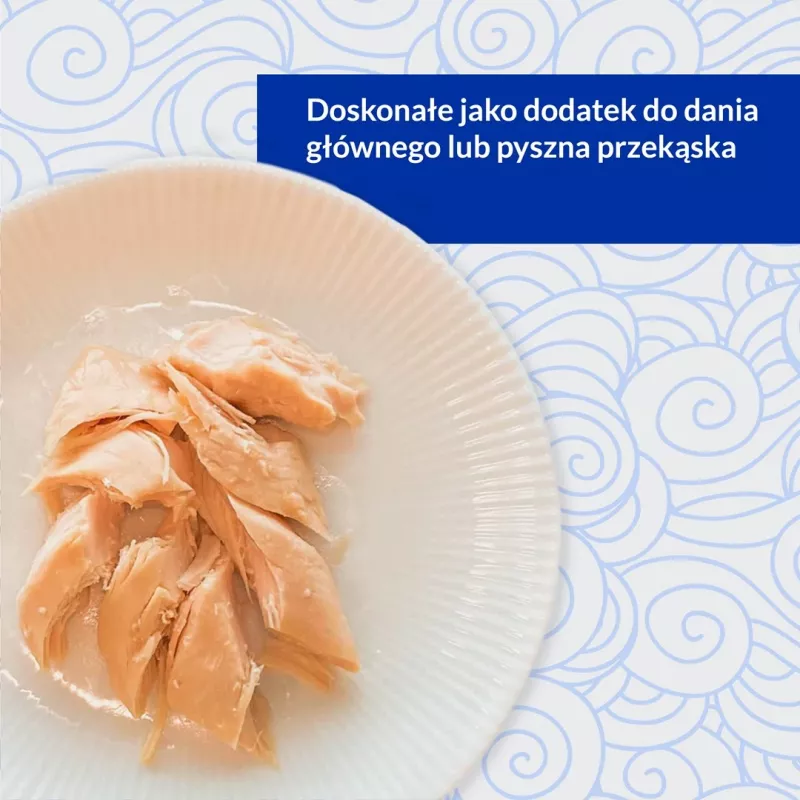 INABA Ciao keptelėti vištienos filė vištienos skonio sultinyje - skanėstai katėms - 25g