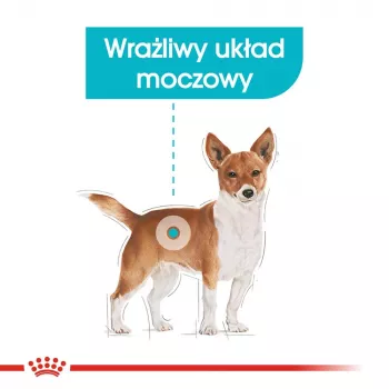 Sausas šunų ėdalas Royal Canin Mini Urinary Care 3 kg – smulkių veislių, paukštiena, 27% baltymų, 16% riebalų
