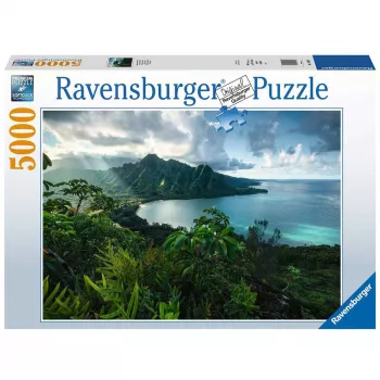Kontūrinis galvosūkis Ravensburger 16106 5000 dalių Flora