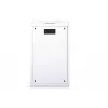 Sieninis tinklo stovas Digitus DN-19 20U-6/6