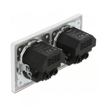 Sieninis kištukinis lizdas DeLOCK 2 jungtys su 4 USB prievadais 2 x 2,8 A