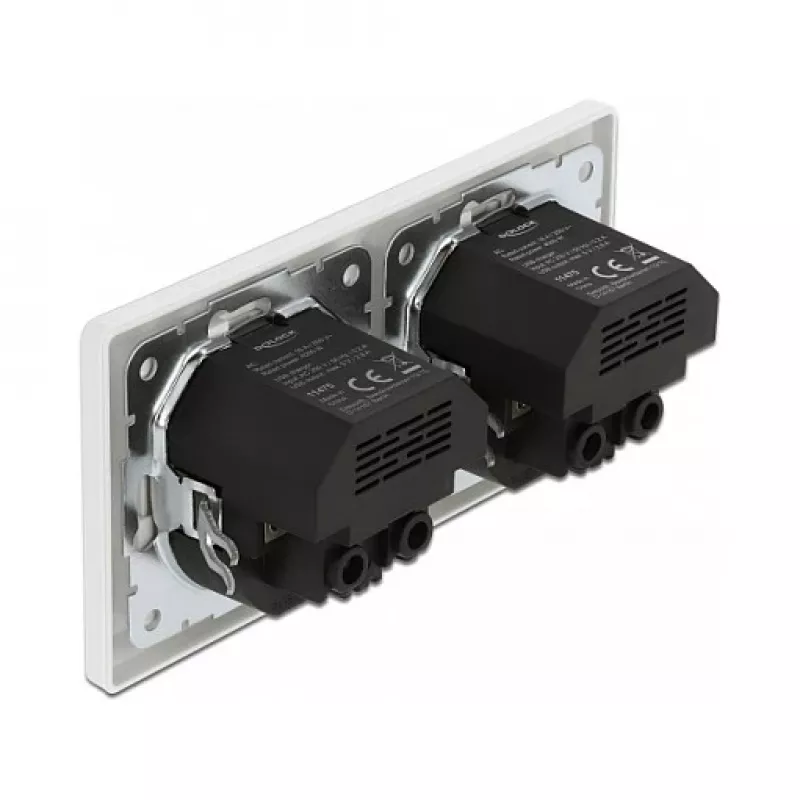 Sieninis kištukinis lizdas DeLOCK 2 jungtys su 4 USB prievadais 2 x 2,8 A
