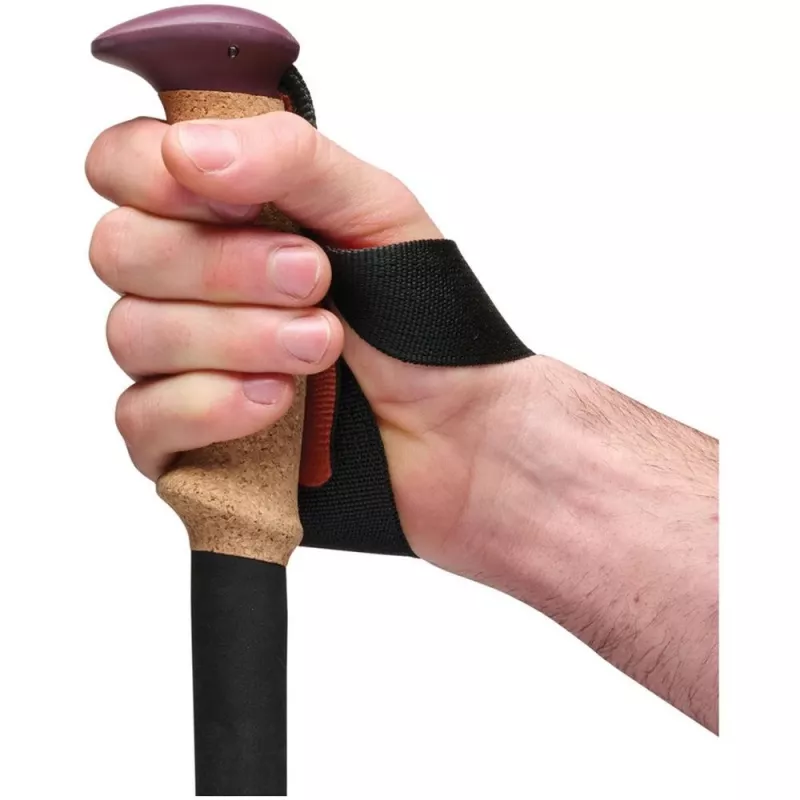 Black Diamond Trail Cork Trekking Poles Fig – žygio lazdos