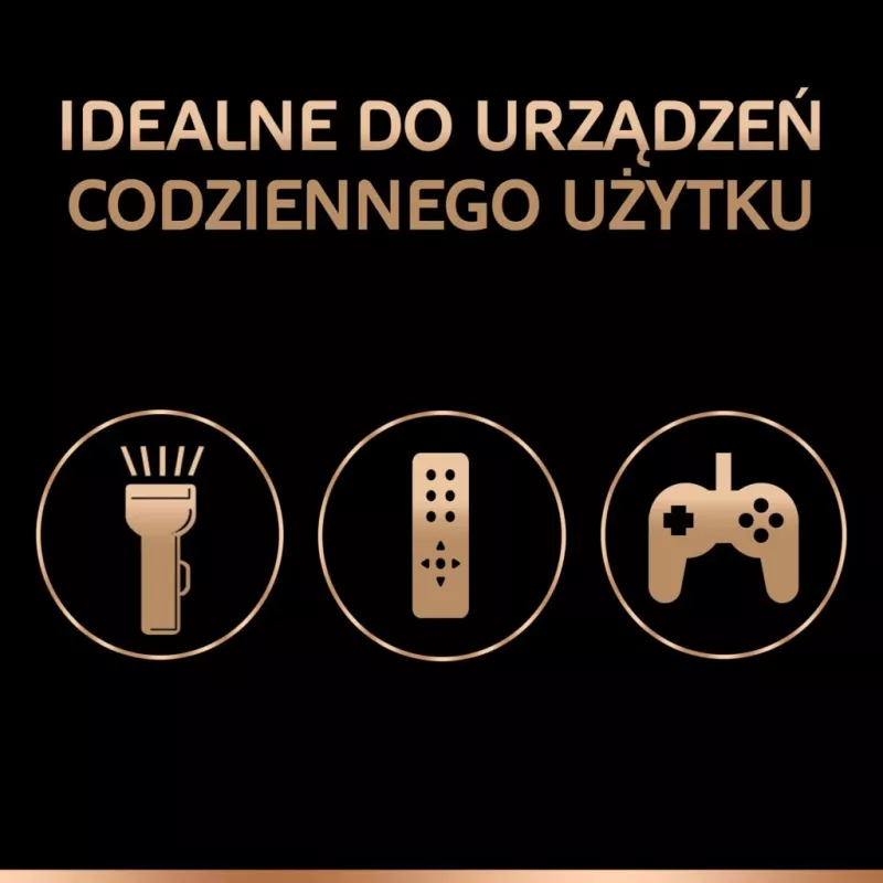 Baterijos Duracell Basic D (R20) – pakuotė po 2 vnt., cinko-anglies elementai