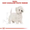 Royal Canin BHN West Highland White Terrier Adult - sausas ėdalas suaugusiems šunims - 3kg
