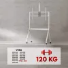 Grindinis TV stovas MACLEAN MC-114 W ekranams nuo 55 iki 100 colių, baltas, VESA iki 900x600, max apkrova 120 kg, aukštis 115–152 cm, lentyna