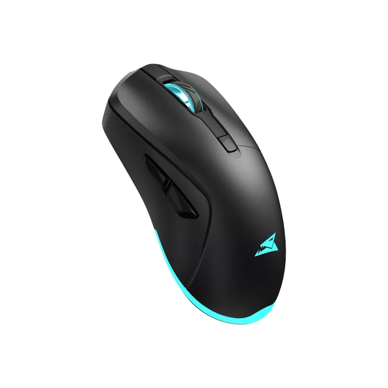 Pelė Baracuda BGM-121 Turtle Black USB