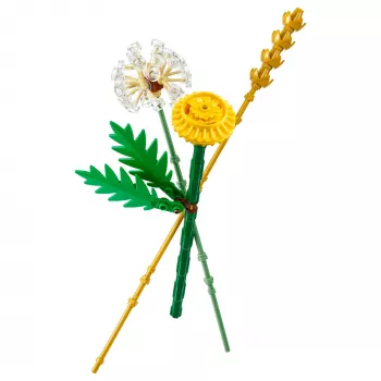 LEGO 30701 Botanicals Feldblumen, Konstrukcinis žaislas