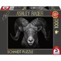 Ashley Rader: Dominance - Widder, Im Zeichen des Feuers, Dėlionė 1000 dalių
