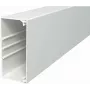 Sieninis ir lubinis kabelių kanalas WDK 60130 60x130 grynai baltas (6191223)