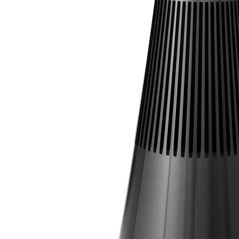 Belaidė kolonėlė Bang & Olufsen Beosound 2 3rd Gen Black Anthracite