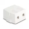 Įstatomas rėmelis DeLOCK 85843 Plastikinis Baltas 545x573x324 mm