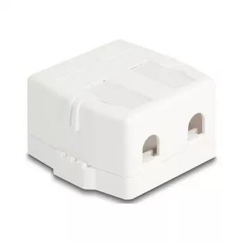 Įstatomas rėmelis DeLOCK 85843 Plastikinis Baltas 545x573x324 mm