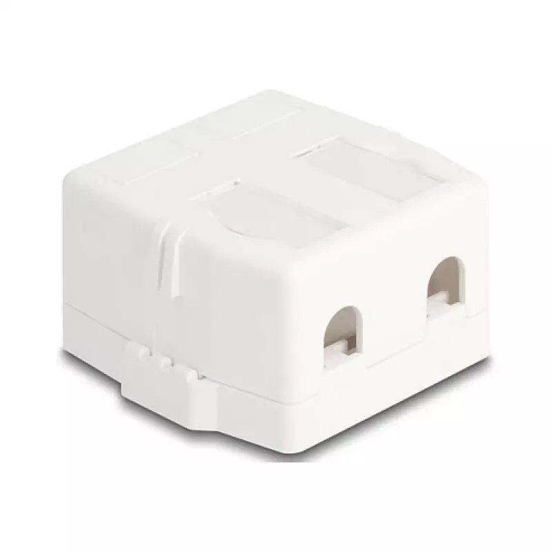 Įstatomas rėmelis DeLOCK 85843 Plastikinis Baltas 545x573x324 mm
