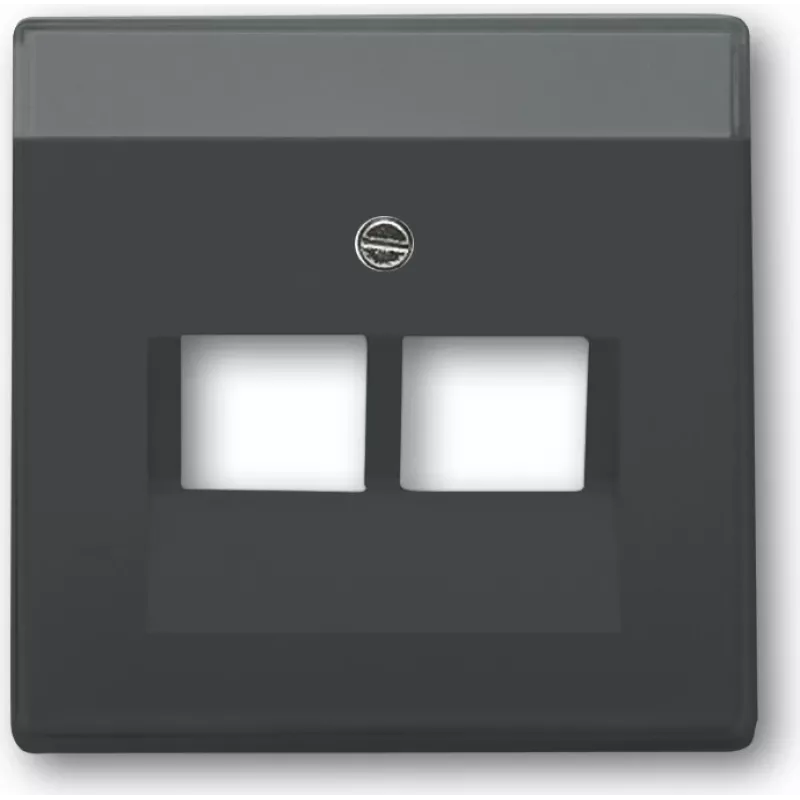 Busch-Jaeger 1710-0-3615. Produktfarbe: Anthrazit, Markenkompatibilität: Universal, Design: konventionell. Breite: 63 mm, Höhe: 63 mm (1710-0-3615)