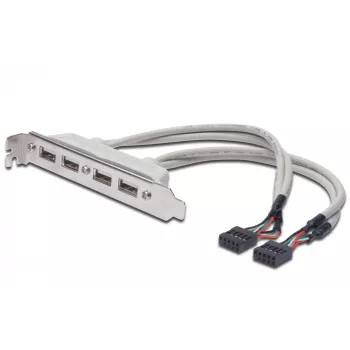 USB 2.0 lizdo laikiklio kabelis 2xIDC (5 kontaktų) / 4xUSB A (vyriškas/moteriškas) pilkas 0,25 m
