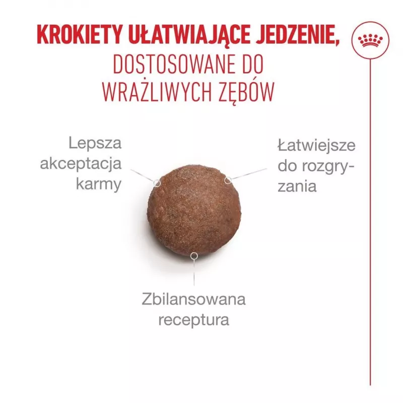 Sausas kačių ėdalas Royal Canin FHN Ageing Sterilised 11+ paukštiena 4 kg