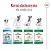 Sausas šunų ėdalas Royal Canin Adult Mini S 8 kg – visavertis maistas mažiems suaugusiems šunims