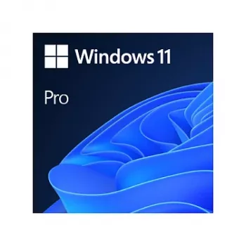 Windows 11 Pro 64Bit DSP 1pk Dutch DVD