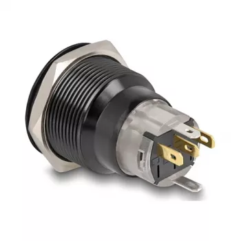 Mygtukinis jungiklis skydeliui DELOCK 22015 22 mm, 12 V, 5 litavimo gnybtai