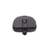 Pelytė White Shark TRISTAN USB Type-A