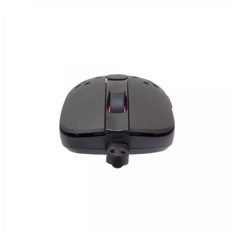 Pelytė White Shark TRISTAN USB Type-A