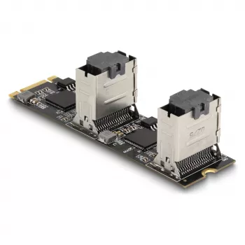 DeLOCK keitiklis M.2 2280 Key B+M vyriškas į 8 x SATA