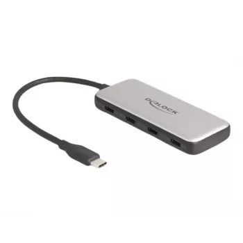 DeLOCK 64261 USB 3.2 Gen 1 Type-C šakotuvas 10000 Mbit/s juoda pilka