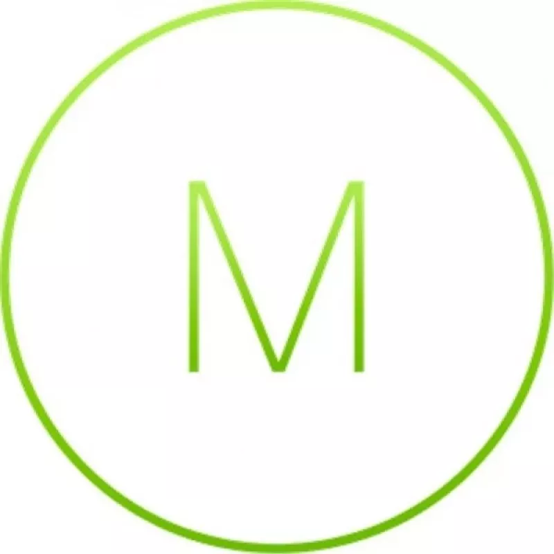 Cisco MERAKI MS355-48X2 ENTERPRISE valdomas tinklo jungiklis