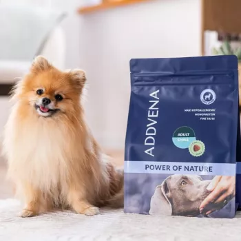 ADDVENA Power of Nature Adult Small Lamb – sausas ėdalas šunims – 2,5 kg
