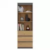 Biuro spintelė knygoms top e shop RS-60 ANT/ART KPL – 3 lentynos, medžio drožlių plokštė, 600×350×1800 mm