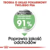 ROYAL CANIN CCN Medium Digestive Care - sausas šunų maistas - 3 kg