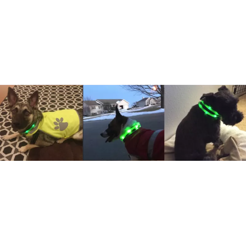 LED antkaklis Anicoll Green šunims ir katėms įkraunamas modelis