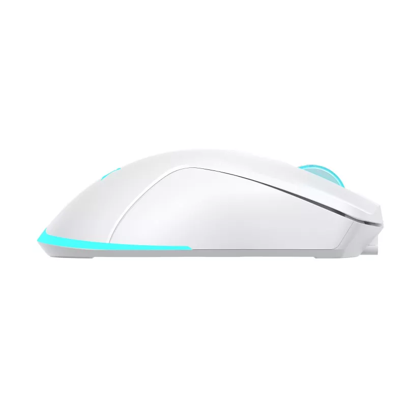 Pelė Baracuda Turtle BGM-122 balta TURTLE-W