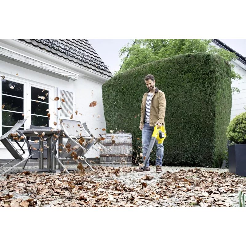 Belaidis lapų pūstuvas Lbl 2/BATT. Rinkinys 1.445-110.0 Karcher