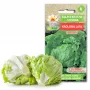 Sėklos Crisp Ice Lettuce Summer Toraf salotos, 1g pakuotė