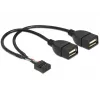Vidinis USB laidas DeLOCK 83292 0,2 m Moteriškas į Moterišką