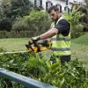 Akumuliatorinis gyvatvorių žirklių komplektas DeWALT DCM563P1-QW
