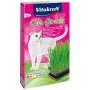 Žolės auginimo rinkinys katėms Vitakraft 120 g – valgoma žolė, be glitimo, be konservantų