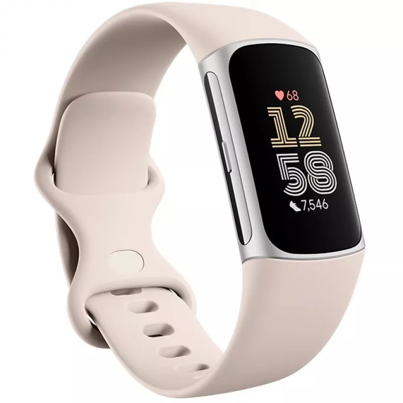 Fitbit GA05185-EU sidabrinė veiklos stebėjimo apyrankė