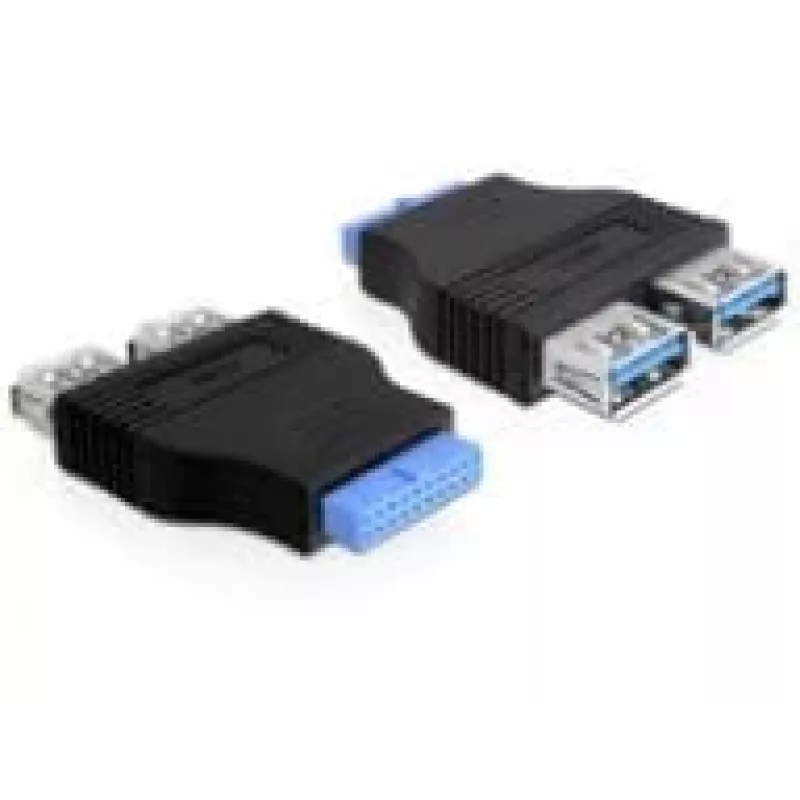Delock Adapter USB 3.0 Pin Header Lizdas > 2 x USB 3.0 Lizdas - greta (65324)
