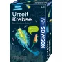 Kosmos 65787 papildytos realybės rinkinys, 8 metų amžiui, įvairiaspalvis