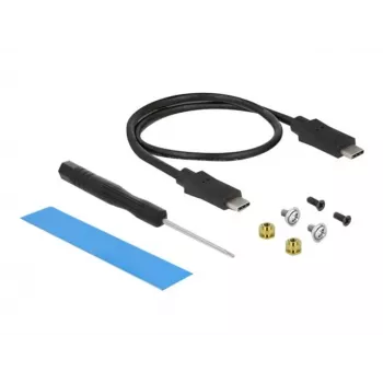 DeLOCK išorinis SSD dėklas USB Type-C M.2 NVMe PCIe arba SATA SSD