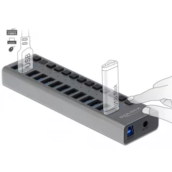 DeLOCK išorinis USB 3.2 Gen 1 (3.1 Gen 1) 13 prievadų jungiklis su maitinimo mygtukais, 5 Gbps, pilkas aliuminis, 1 m