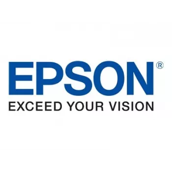 Originalus Epson T04Q100 juodas rašalo kasetė (didelės talpos XL)