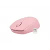 NATEC STORK pelė Home Ambidextrous RF Wireless + USB-A optinė 1600 DPI