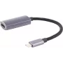 USB grafikos adapteris shiverpeaks BS14-05051 USB Type-C kištukas juodai pilkas