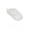 Pelė White Shark GM-9004 Tristan-2 White RGB USB